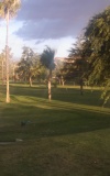 4 - golfcourse